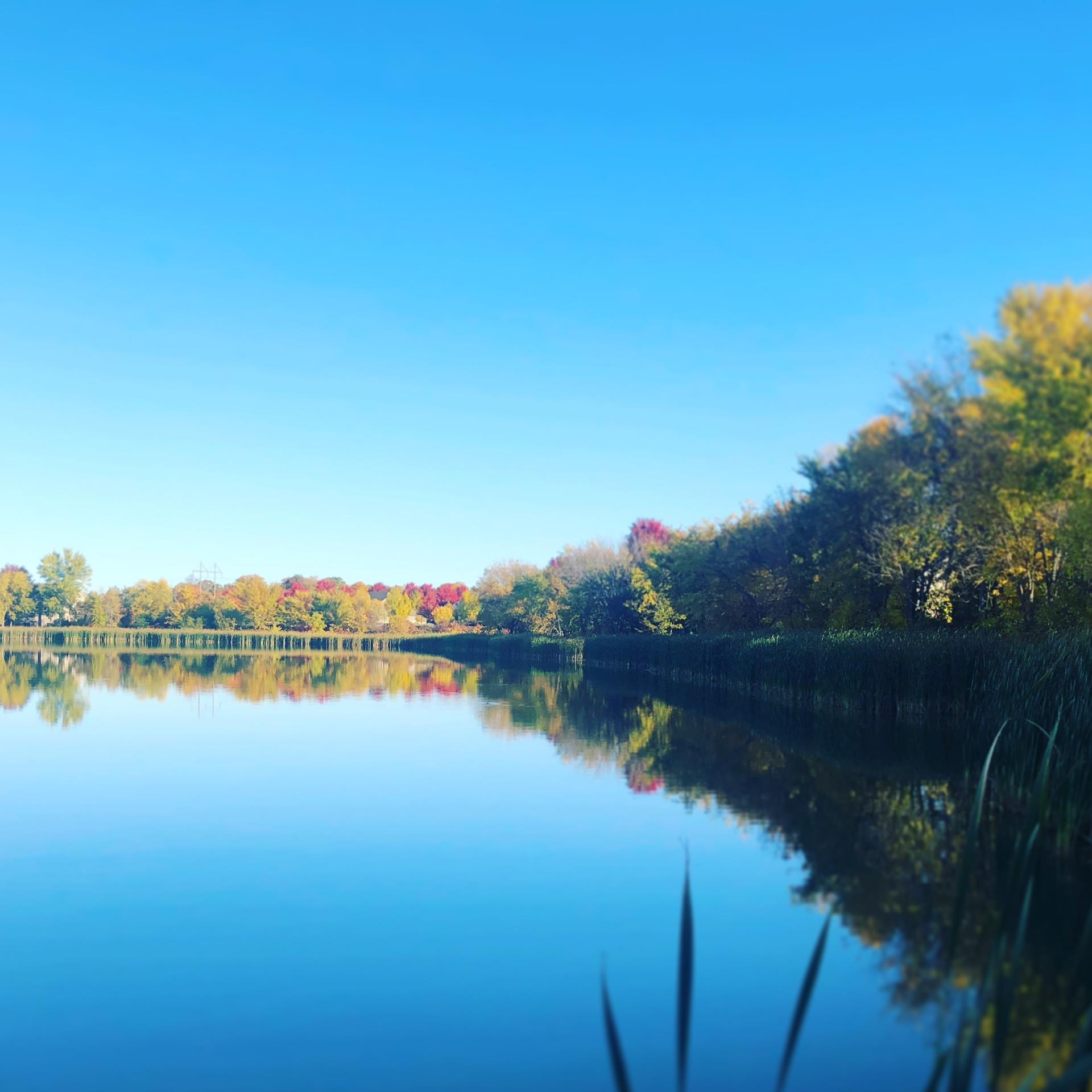 2020 Fall Photo - Park Lakes 3